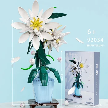 Balta Epiphyllum Gėlių Bonsai Blokai Kūrybos 